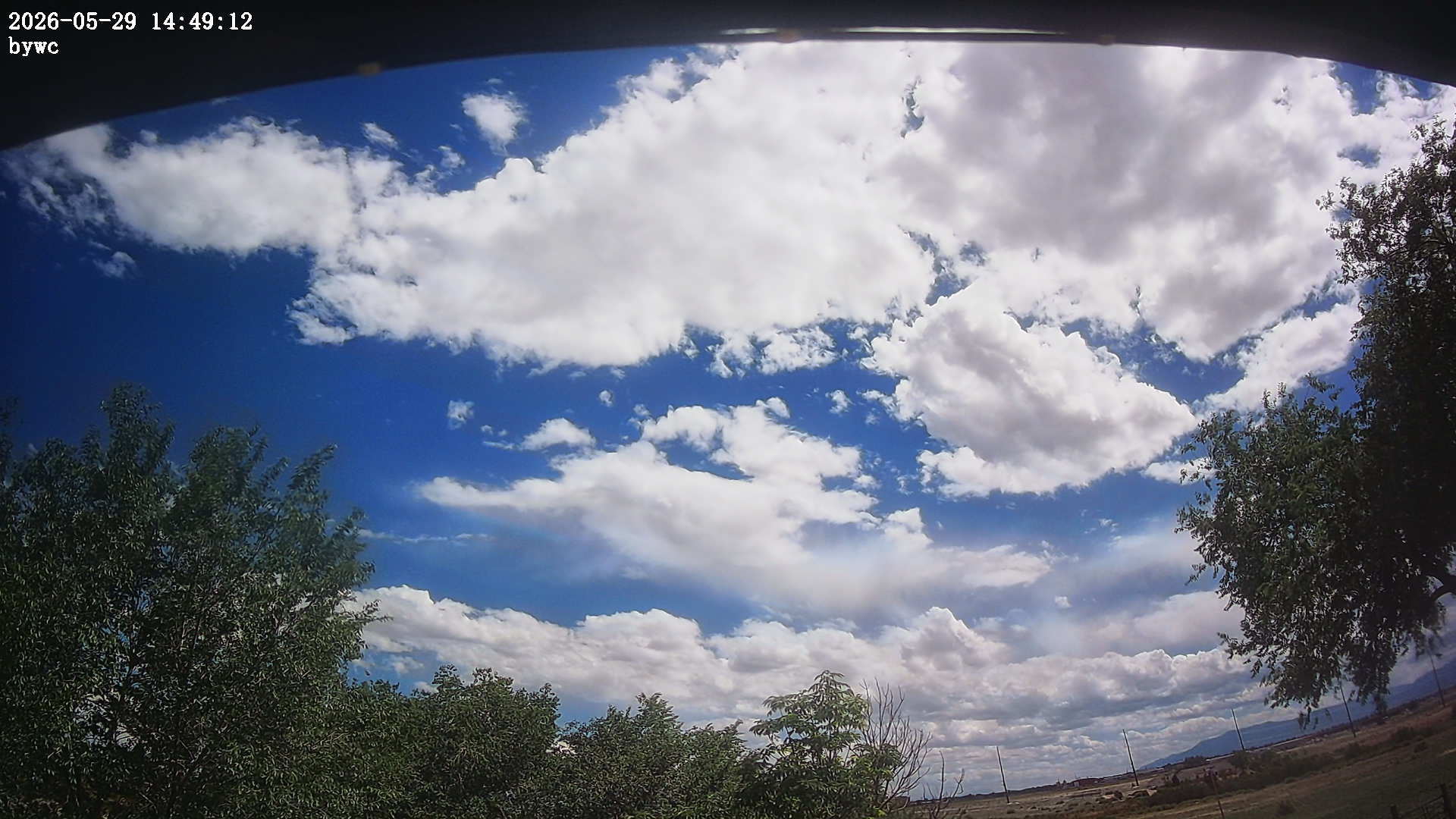 Back Yard Weather Cam